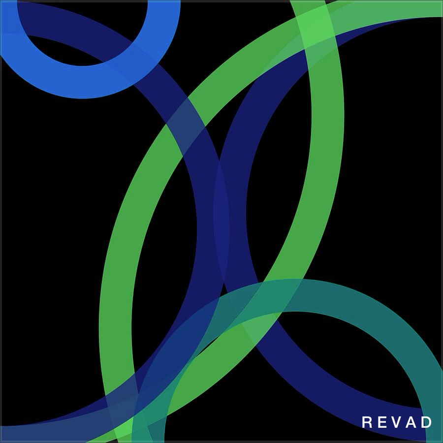 a PRINT by REVAD